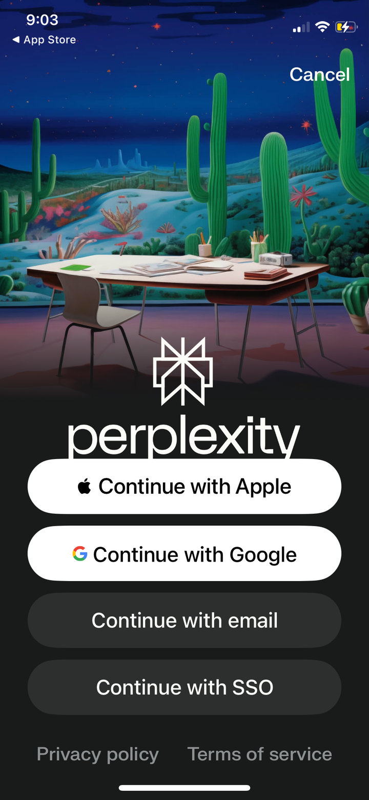 Perplexity - Ask Anything